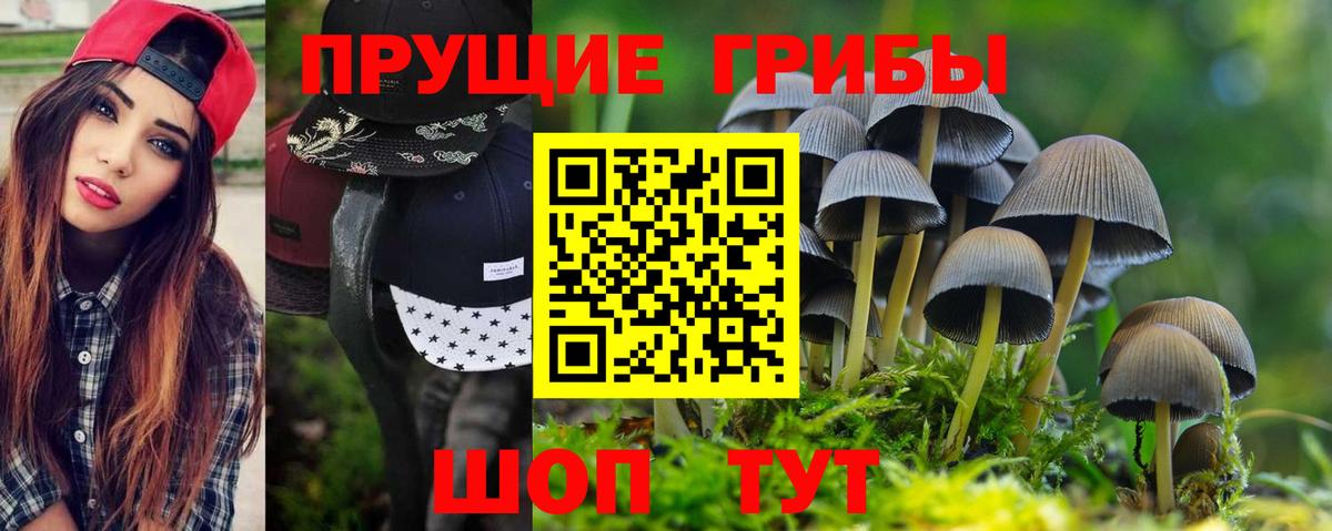 Галлюциногенные грибы Cubensis Луховицы
