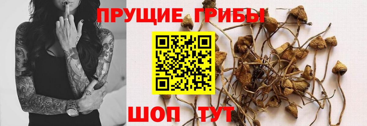 наркотики  Вход с VPN  Луховицы  Галлюциногенные грибы Cubensis 